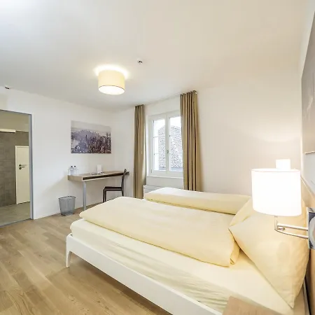 Aparthotel Baeren Seengen Exterior photo